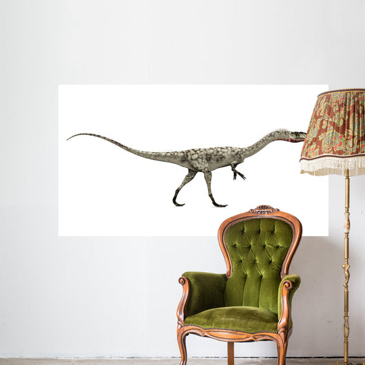 Dinosaurier Coelophysis