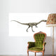Dinosaurier Coelophysis