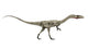 Dinosaurier Coelophysis