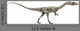 Dinosaurier Coelophysis