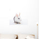 White and Grey Rabbit Wall Decal