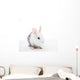 White and Grey Rabbit Wall Decal