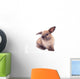 Rabbit isolated on the white. Wall Decal