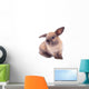 Rabbit isolated on the white. Wall Decal