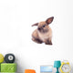 Rabbit isolated on the white. Wall Decal