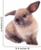 Rabbit isolated on the white. Wall Decal