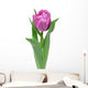 tulip isolated on white background Wall Decal