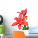 Lily isolated on white background Wall Decal