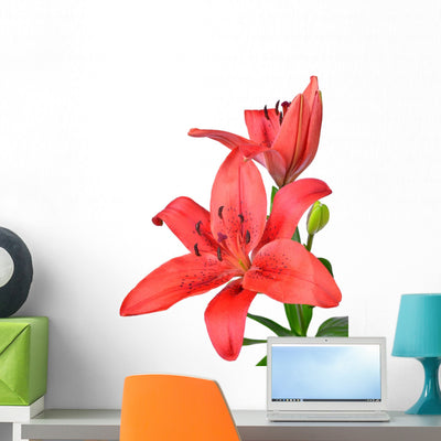 Lily White Wall Decal shown on a wall