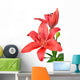 Lily isolated on white background Wall Decal