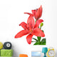 Lily isolated on white background Wall Decal