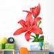 Lily isolated on white background Wall Decal