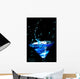 Blue Splashing Cocktail Black
