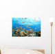 Coral Reef Underwater Wall Mural
