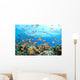Coral Reef Underwater Wall Mural