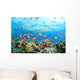 Coral Reef Underwater Wall Mural