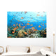 Coral Reef Underwater Wall Mural