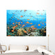 Coral Reef Underwater Wall Mural
