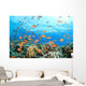 Coral Reef Underwater Wall Mural