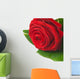 Red Rose - Rosa Rossa Wall Decal