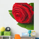 Red Rose - Rosa Rossa Wall Decal