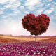 Heart Shaped Tree Red