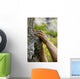 hands on the rocks Wall Mural