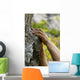 hands on the rocks Wall Mural