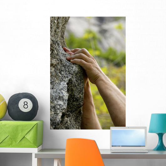 hands on the rocks Wall Mural
