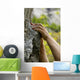 hands on the rocks Wall Mural