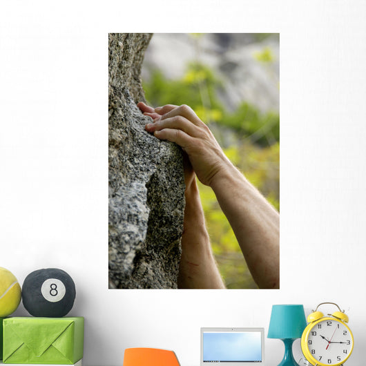 hands on the rocks Wall Mural