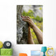 hands on the rocks Wall Mural