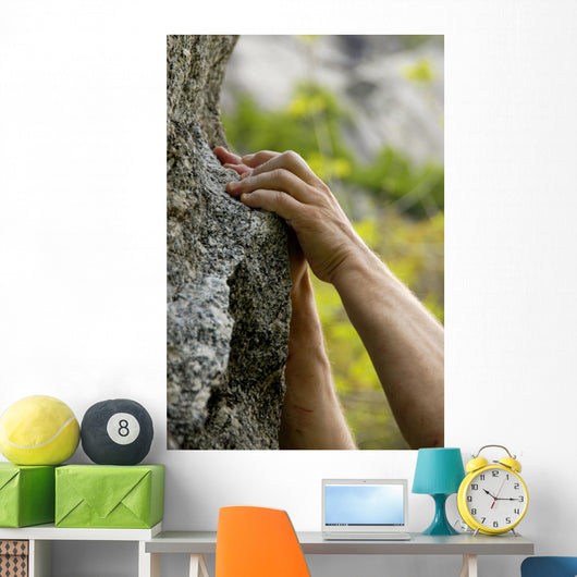hands on the rocks Wall Mural