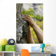 hands on the rocks Wall Mural