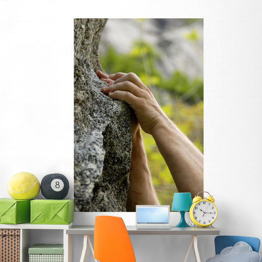 hands on the rocks Wall Mural