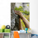 hands on the rocks Wall Mural