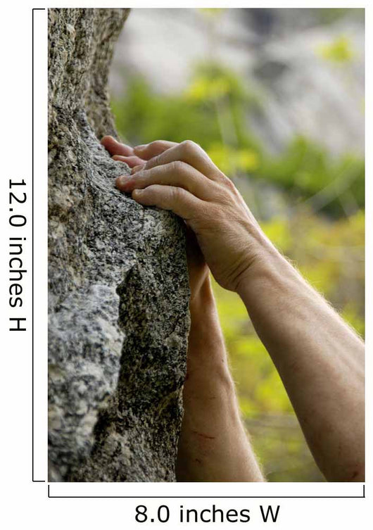 hands on the rocks Wall Mural