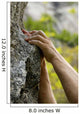 hands on the rocks Wall Mural