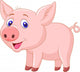 Cute Baby Pig Cartoon