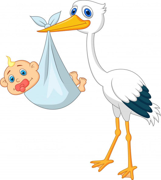 Stork Carying Baby