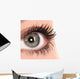 Beautiful Eye Woman