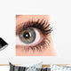 Beautiful Eye Woman