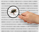 concept of searching for a bug Wall Mural