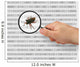 concept of searching for a bug Wall Mural