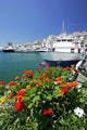 Flowers and Boat in Puerto Banus Port Wall Mural