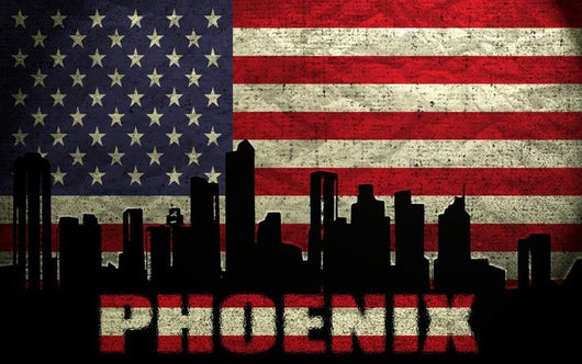 Phoenix City Wall Decal