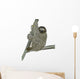 Smiling Sloth Hanging on a Branch Wall Decal