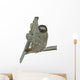 Smiling Sloth Hanging on a Branch Wall Decal