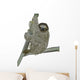 Smiling Sloth Hanging on a Branch Wall Decal