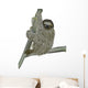 Smiling Sloth Hanging on a Branch Wall Decal